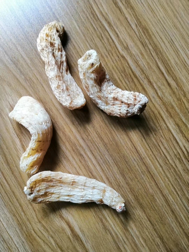 益陽(yáng)瑪山產(chǎn)業(yè)機(jī)械有限公司，湖南益陽(yáng)螺旋風(fēng)管廠家，熱風(fēng)食品烤房